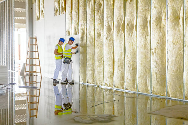 Best Residential Insulation in Coosada, AL